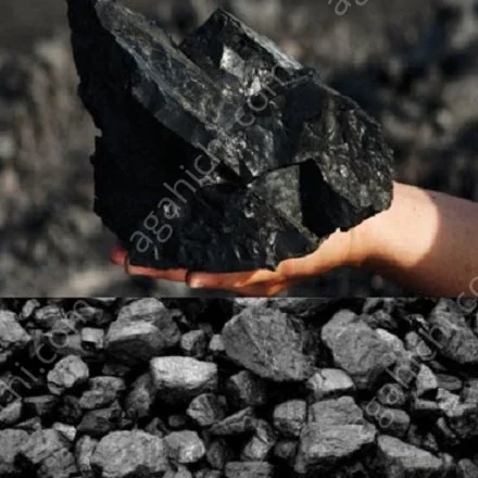 تولید و فروش و صادرات انواع زغال سنگ از معدن 