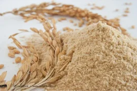 فروش عمده سبوس برنج جهت مصارف صنعتی